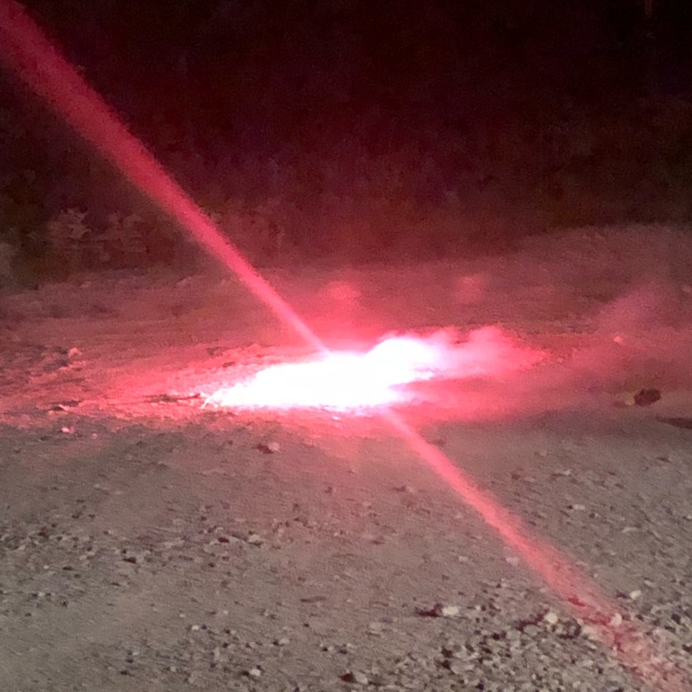 Meet your Posher, Daisy